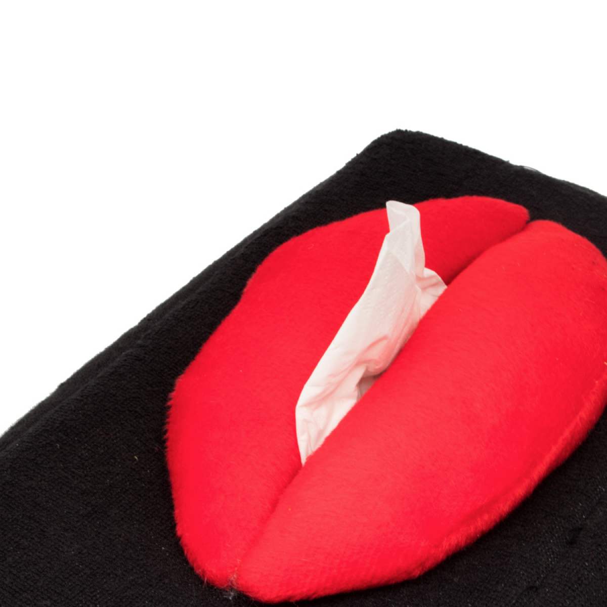 Lips Tissuebox