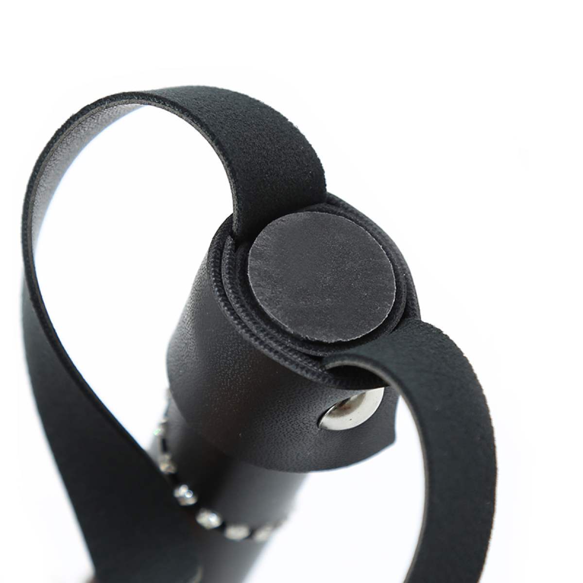 Black Whip