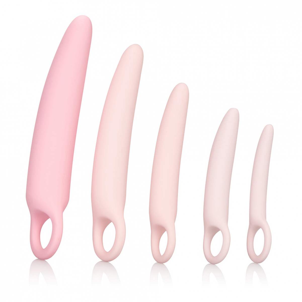 Dilator Kit