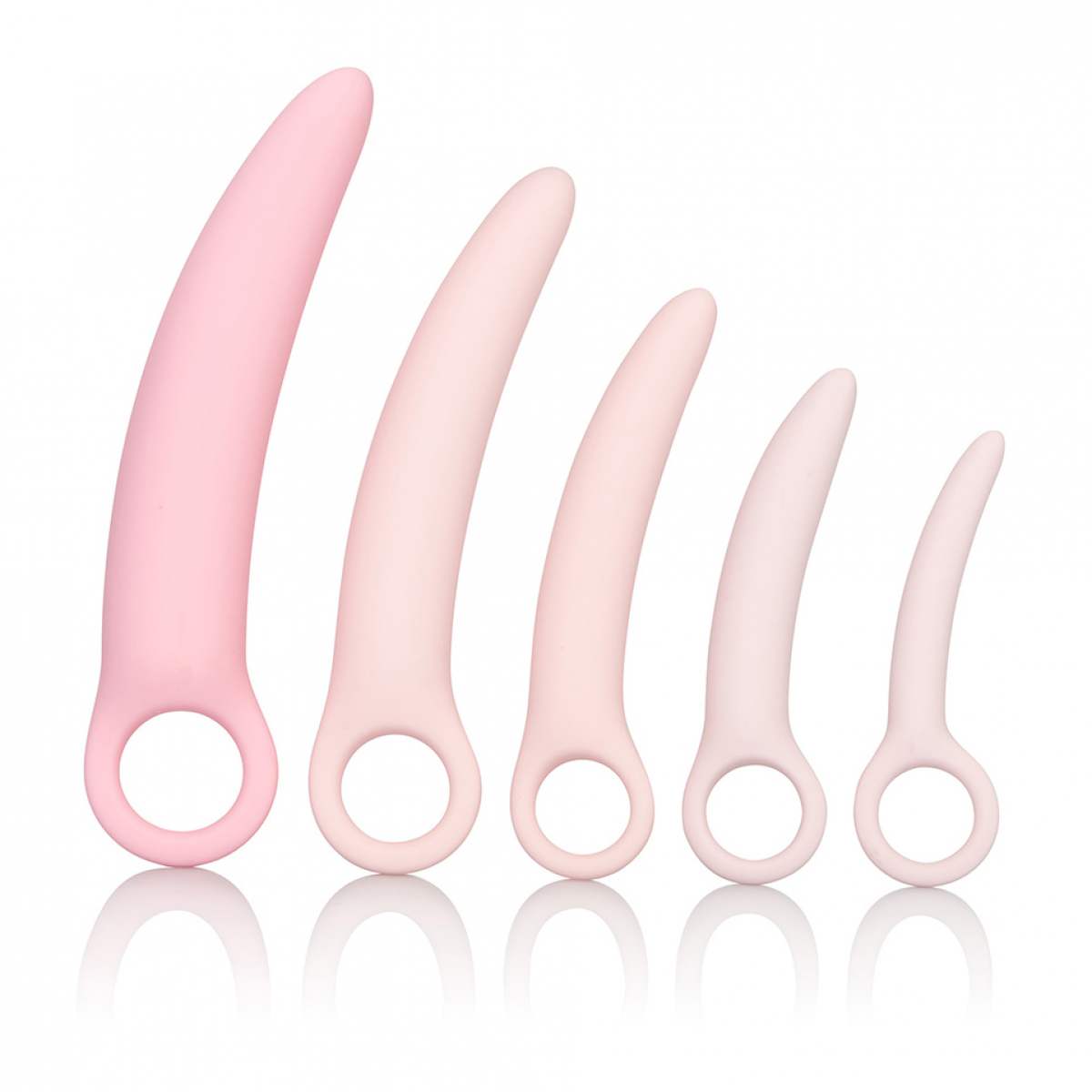 Dilator Kit