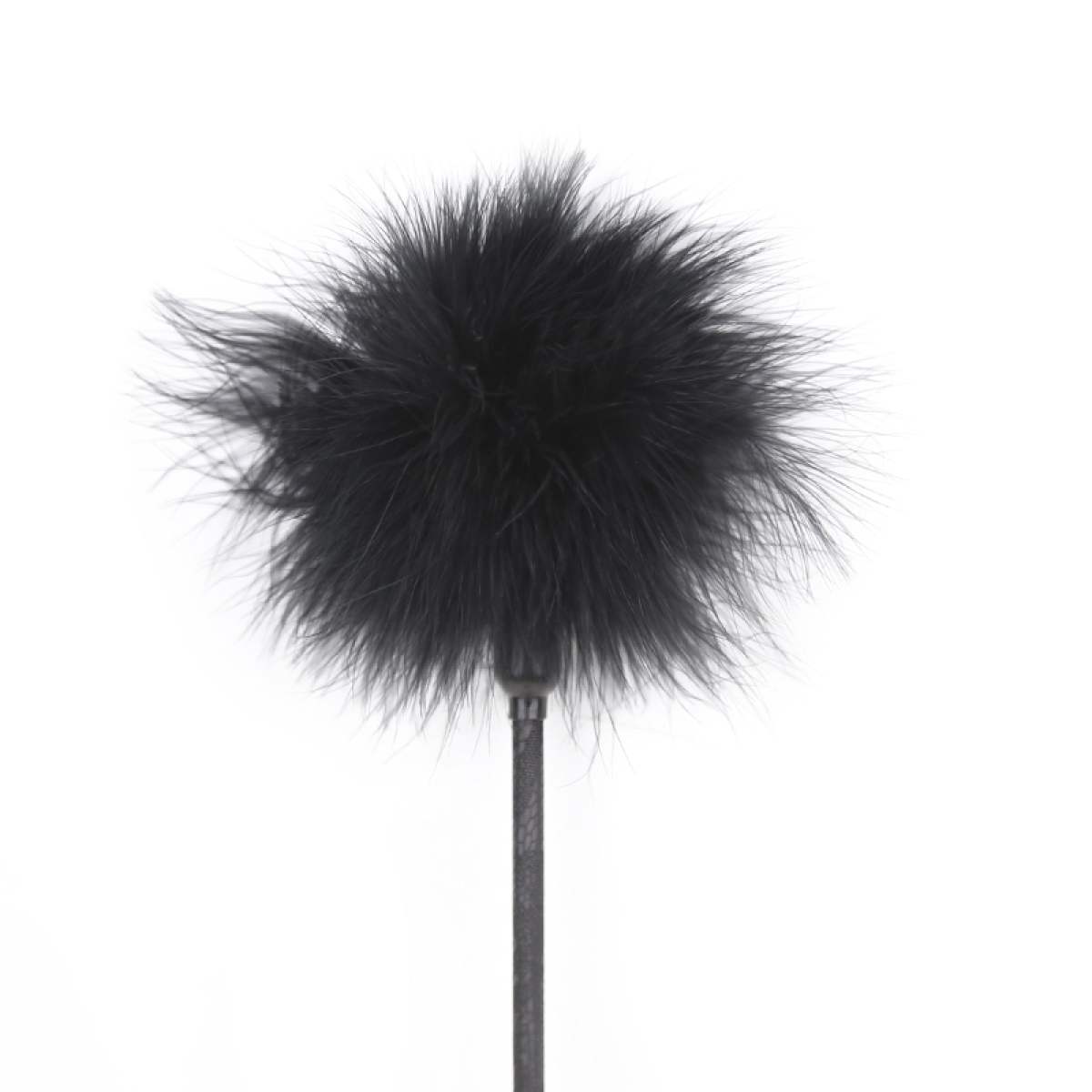 Plume
