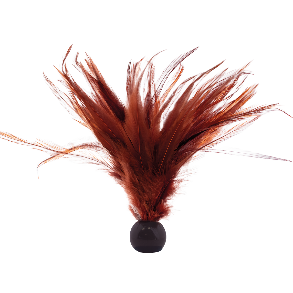 Plume Tickler